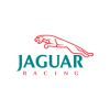 Autocollant / Sticker Jaguar Racing