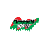 Autocollant / Sticker Kawasaki Racing