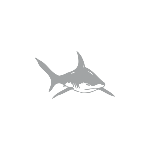 Autocollant / Sticker Requin