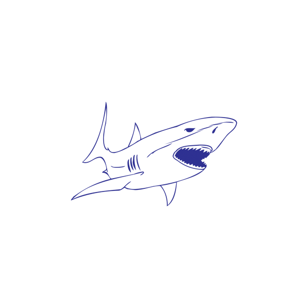 Autocollant / Sticker Requin