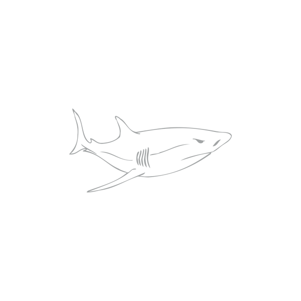 Autocollant / Sticker Requin