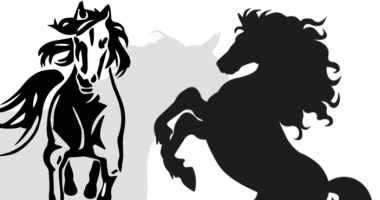 Stickers Chevaux